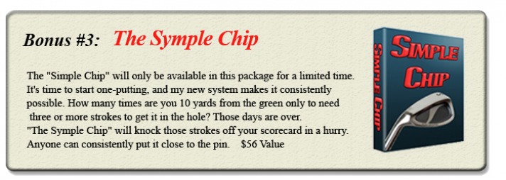 simple chip ebook picture